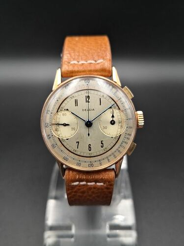 delgia chrono 1