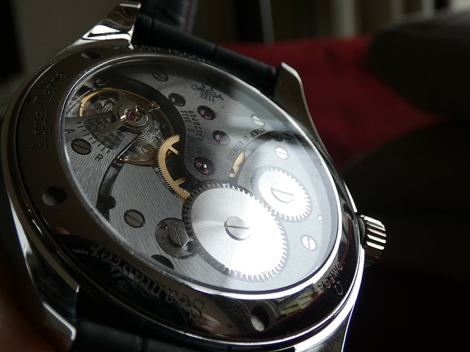 Omega caseback