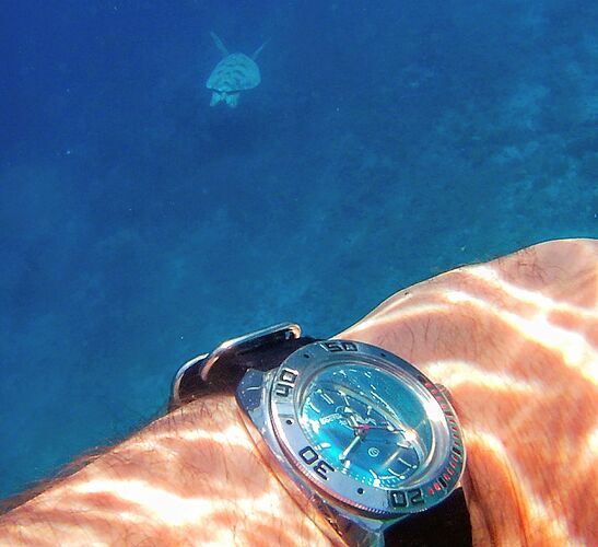 1689645176234_20230630_074806~2