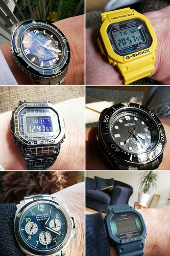 20221219_094519-COLLAGE
