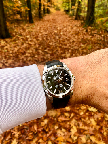 rolex-exploring-the-fall