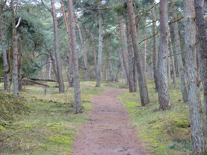 P1190472