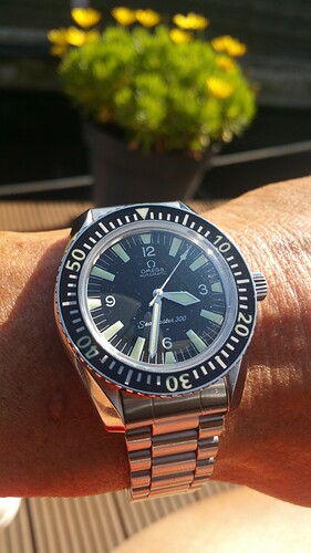 Seamaster 310