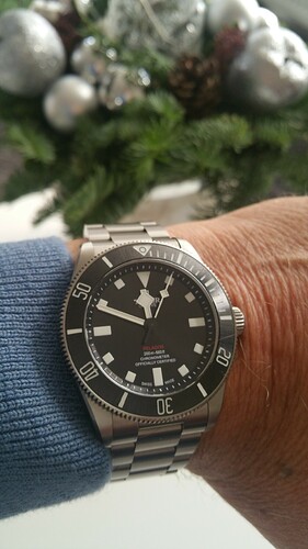 Tudor 5