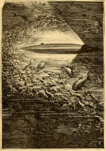 Nautilus_Neuville
