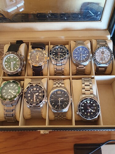 Citizen collectie