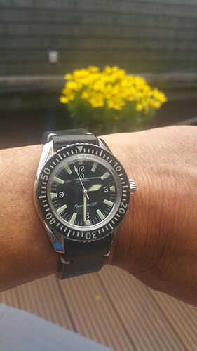 Seamaster 304