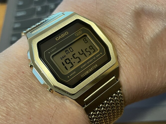 Casio A1000MGA-5EF