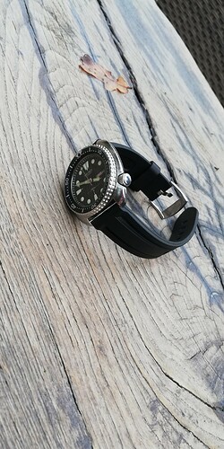 IMG_20181201_123142