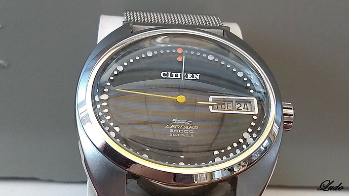 citizen - leopard