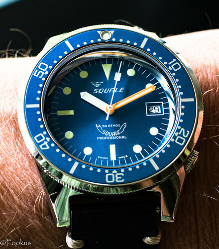 squale (1 of 12)
