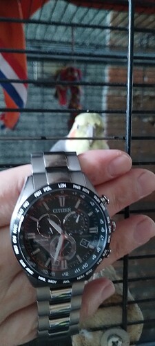 IMG_20230806_103431265