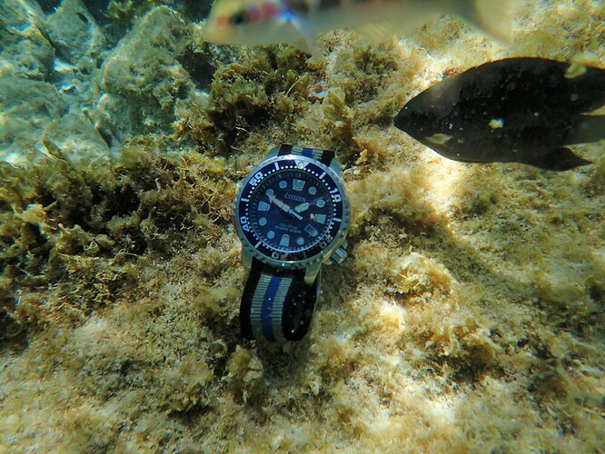 Duiken op Aruba 2