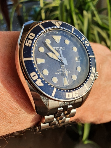 16083679964655306314171371592101