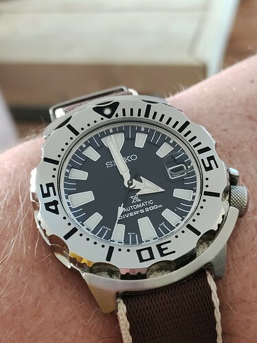 16542647980898158611495145757516