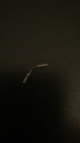 IMG-20231107-WA0011