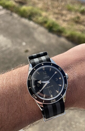OMEGA_1335