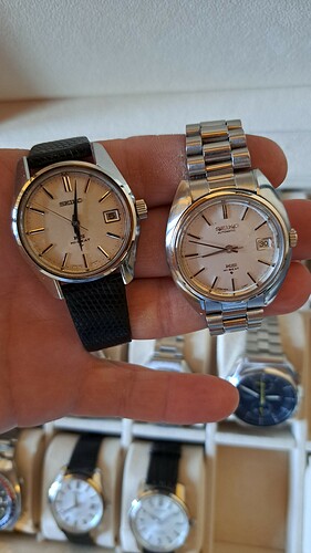 IMG-20230313-WA0024