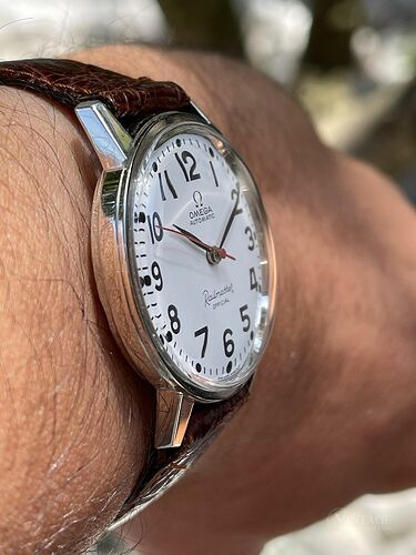 1-vwcweb-omega-rare-railmaster-official-white-lacquered-dial-as-railroad-vintage-watches-and-cars-01
