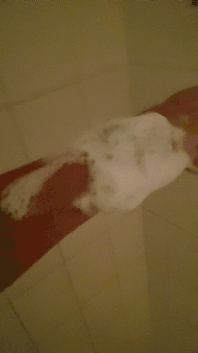 20190713_144708_1