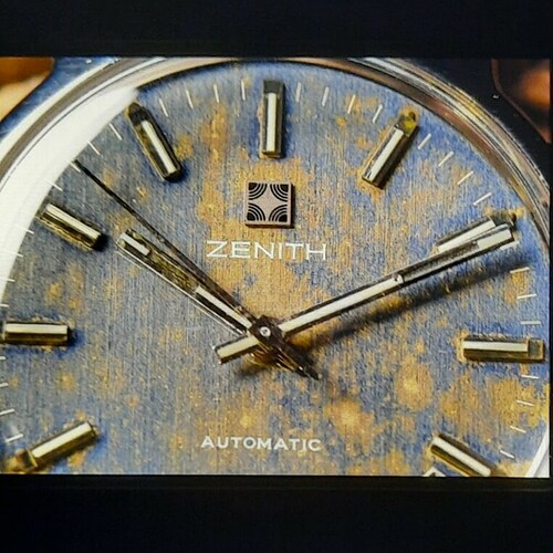 Zenith Surf 1