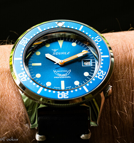 squale (3 of 12)