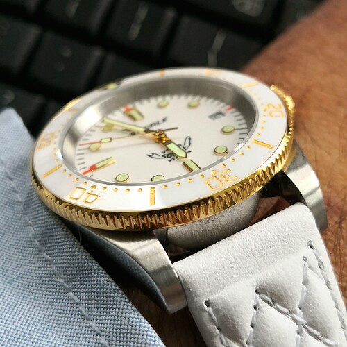 SQUALE 1545 WHITE SW200-40MM-20MM-20230318-p0131