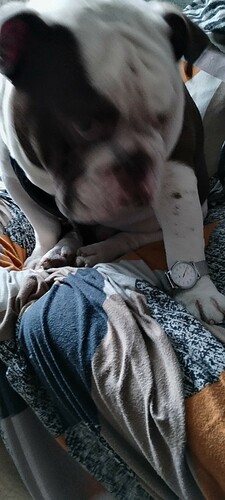 IMG_20231003_094328796