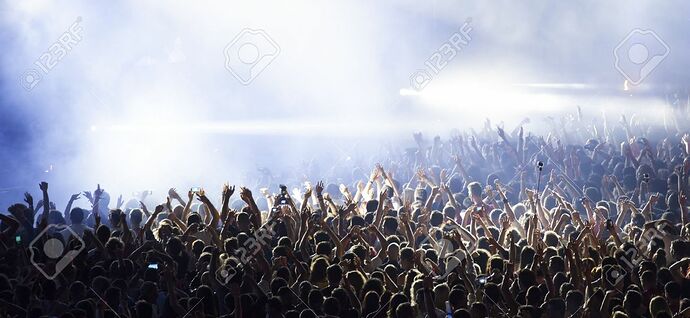 46962709-cheering-crowd-at-a-concert