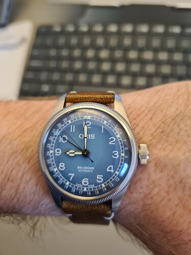 16904411792884731405401290714037