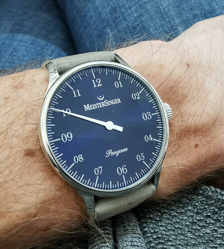 Meistersinger Pangaea PM308 (2)