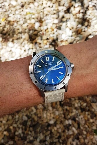 Halios Barton linen 3