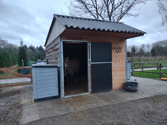 IMG_20220201_172455897