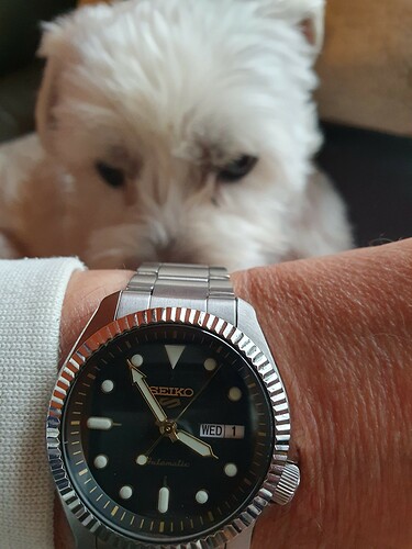 Seiko Gilt 1