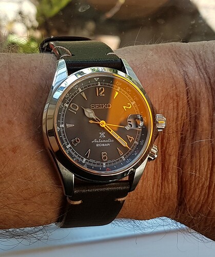 Seiko Alpinist (1) 06-09-22