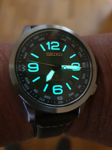 Seiko kompas met lume