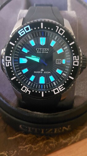 Citizen 02