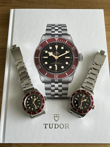 OH.watches.Tudor.BlackBayRed.ETAvsMETAS.230518.2