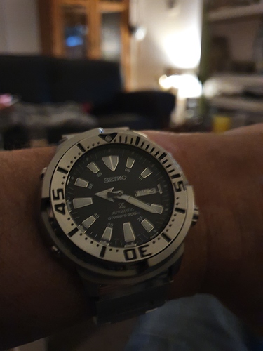 15780828321846050004784531560680