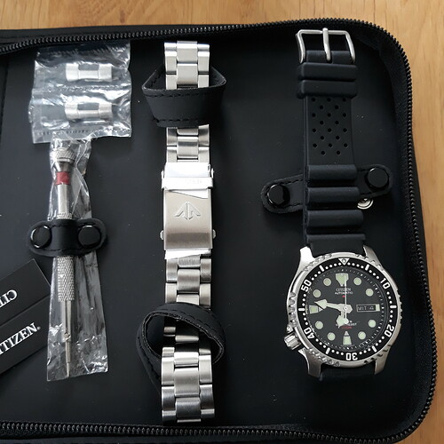 promaster 1