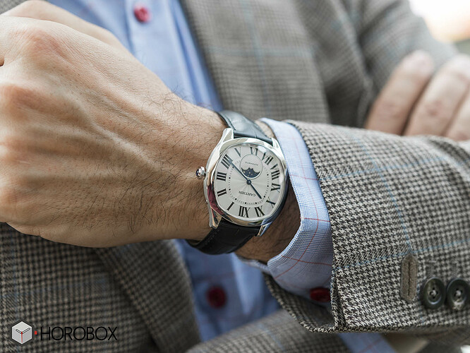 drive-de-cartier-moon-phases-watch-wsnm0008-10