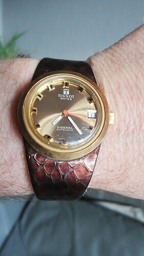 IMG-20210401-WA0003