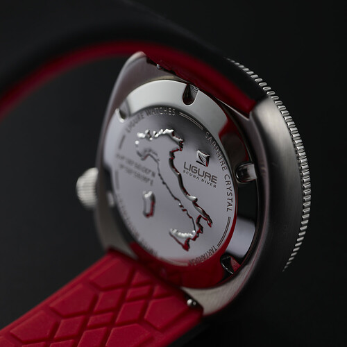 LWT21001back