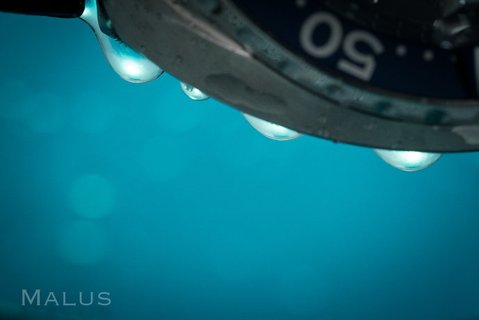 20190622-DSCF3937