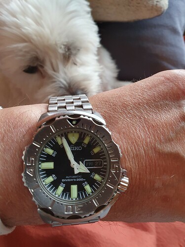 Seiko monster