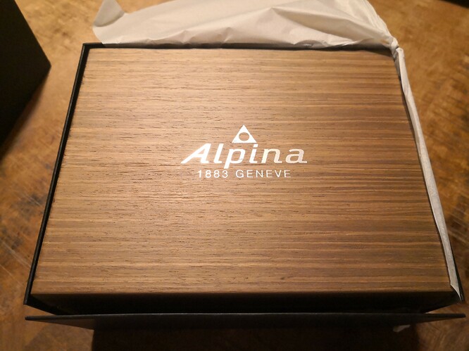 ALPINA SEASTRONG DIVER 300-AL525-44mm-22mm-SNAL-525LGGW4TV6-202008-661EUR-p13