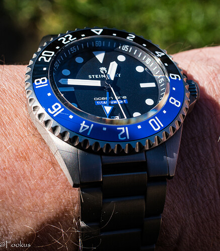 Ocean One GMT Titaniunm (5 of 8)