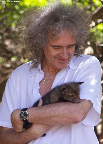 Brian May SKX007