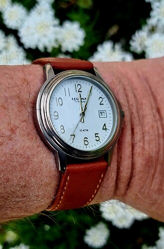 Leijona quartz titanium(1) 01-05-2023