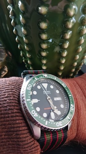 15586251528158101660722140013218